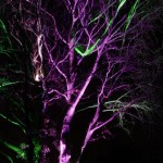 Tree-Lighting-Two-Color